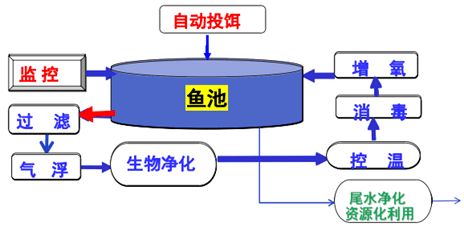 加快工廠化循環水養殖裝備技術創新 助推水產養殖綠色高效發展